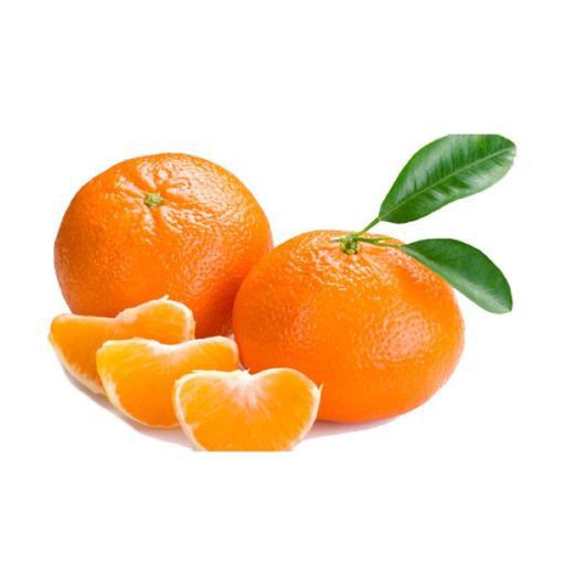 Morgote